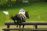 horse hitting a jump 5